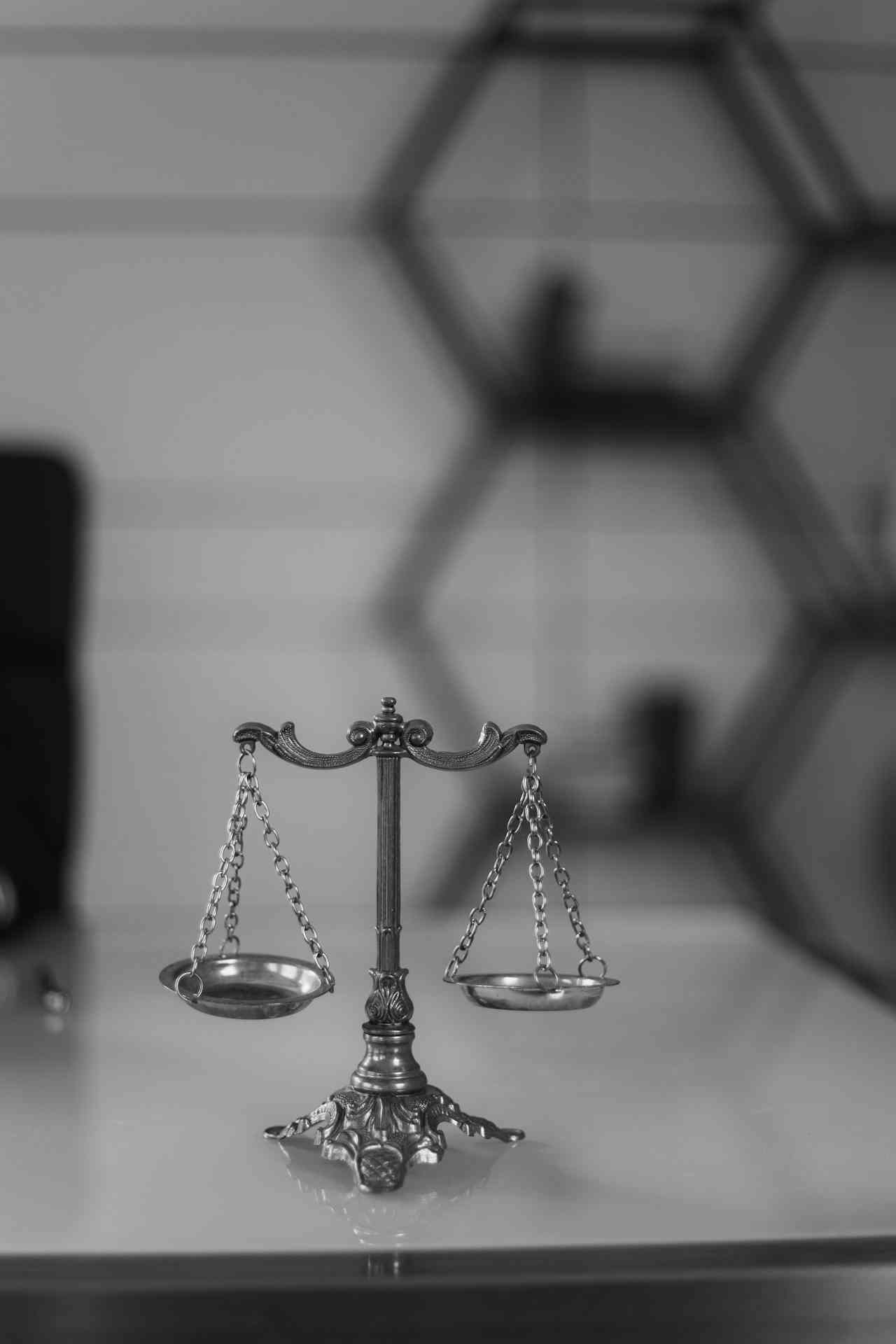 釋憲聲請的類型